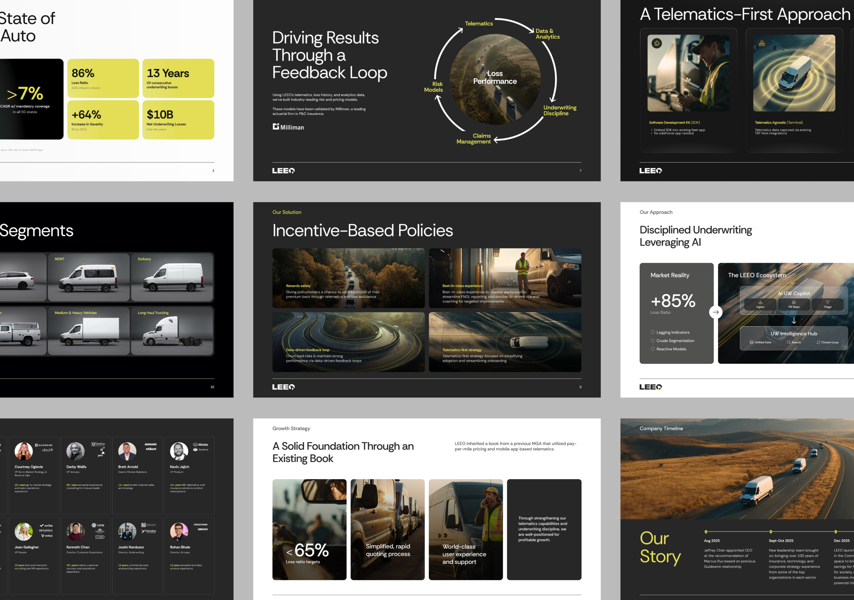 LEEO system overview